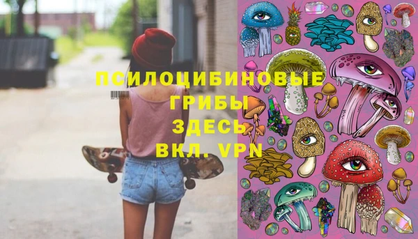 дмт Абинск