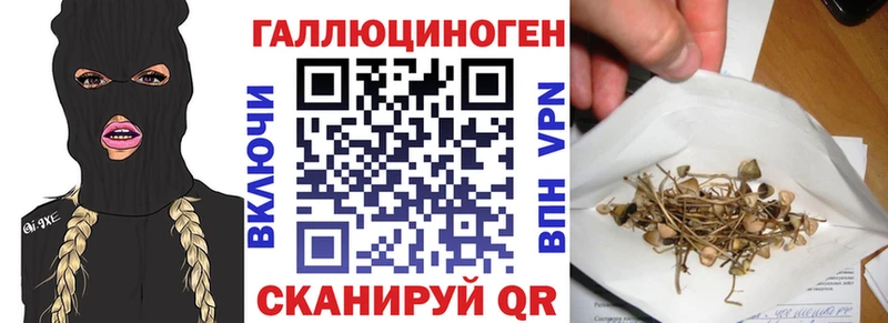 Галлюциногенные грибы мицелий  Яхрома 
